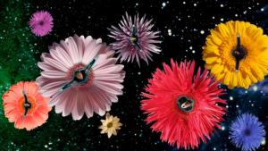 ������������� �����������